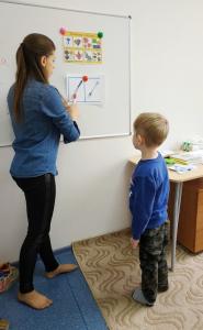 Фотография Подсолнух 3