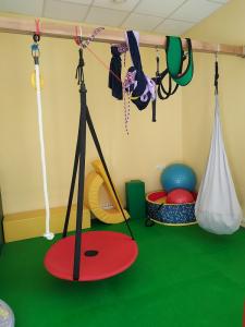 Фотография Подсолнух 4