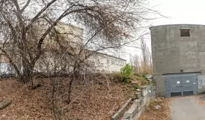 Фотография Чудеса 0